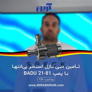 تامین دبی نازل استخر بی‌انتها با پمپ BADU 21-81